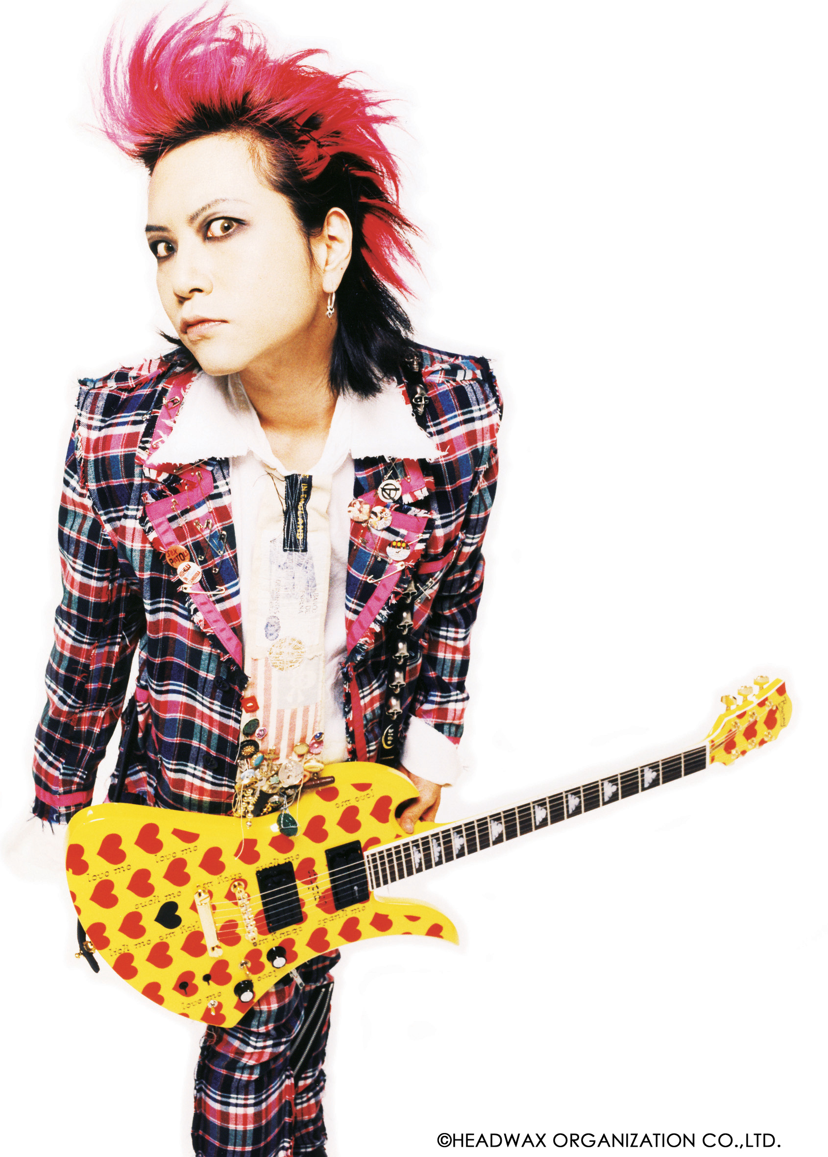  hide Birthday Party 2013 ROCK Vif