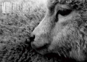 DRG-014〜017 MERRY CORE完全限定盤【白い羊】【黒い羊】