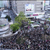 PIERROT、新宿アルタ前での復活発表に7,000 人が驚愕と歓喜！