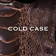 COLD CASE