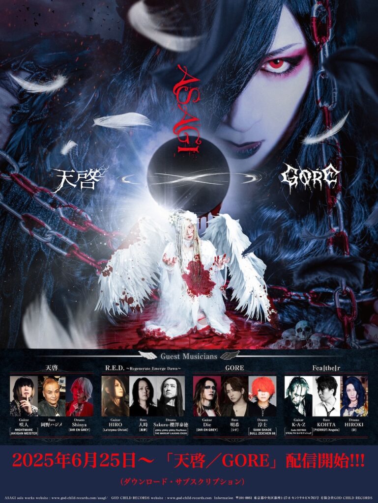 The Brow Beat DVD